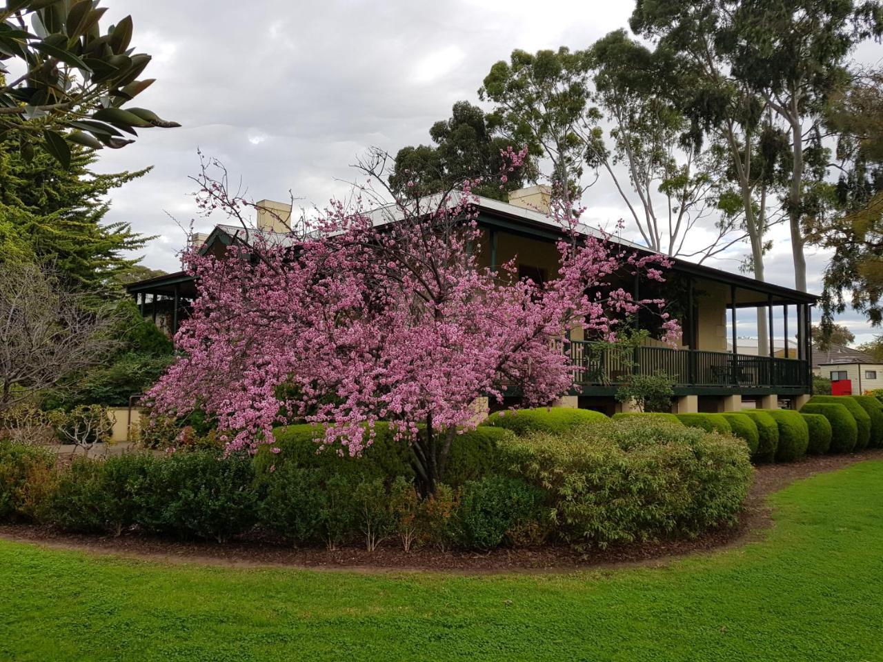 Levi Adelaide Holiday Park Exterior foto